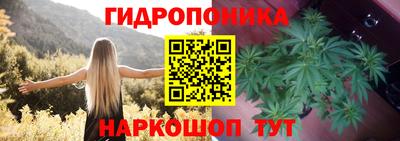 метадон Аргун